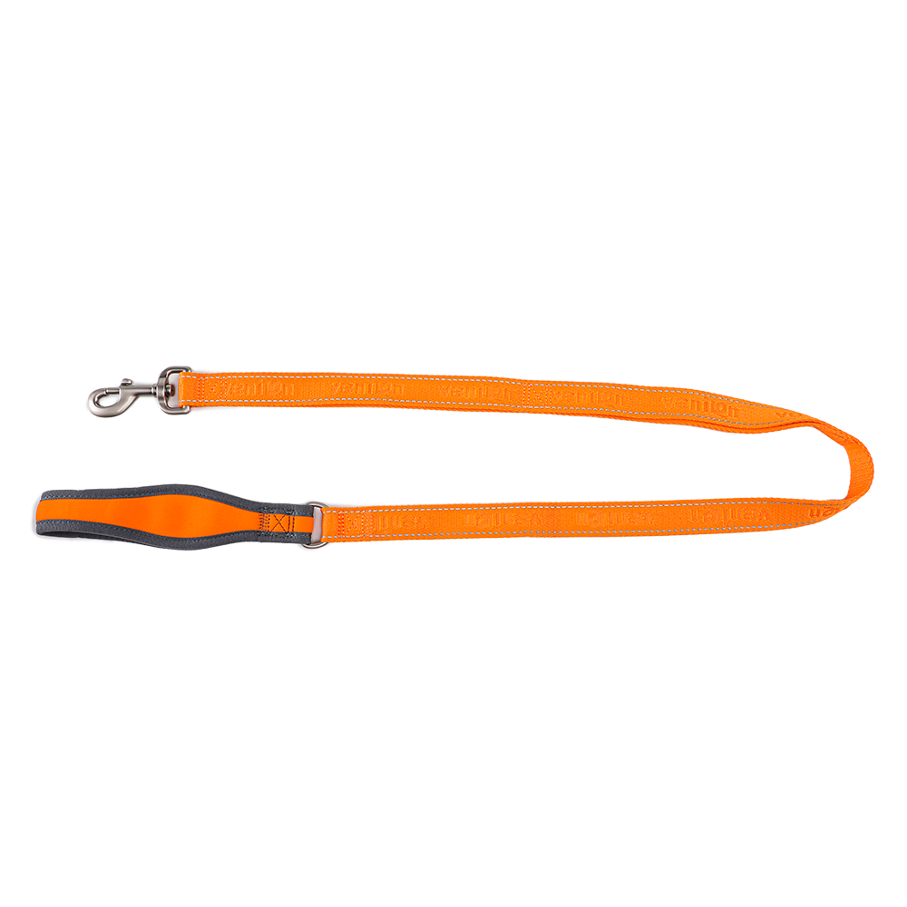 Leash for Dogs
